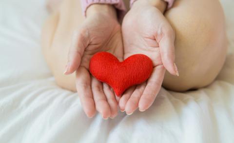 La storia di Elisa 