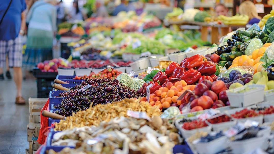 TARI 2024 settore food lanuvio
